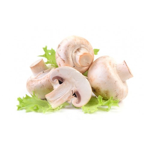 Thực vật rau củ quả PRD45