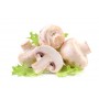 Thực vật rau củ quả PRD45